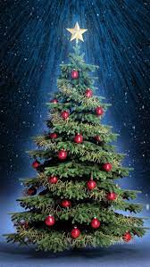 The great collection of colorado christmas wallpaper for desktop, laptop and mobiles. Christmas Wallpaper For Android Christmas Tree Colorado Spruce Christmas Decoration Oregon Pine Balsam Fir 997771 Wallpaperuse