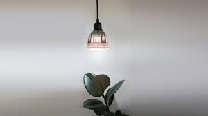 How Far Should Grow Lights Be From Plants