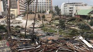 Image result for irma destruction