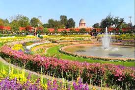 How to reach mughal garden. Delhi S Mughal Gardens Opens For Public Till 8th March Featuring Over 15 000 Fresh Colorful Flowers