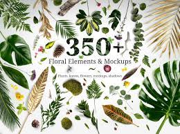 Download Floral Mockup Collection On Behance