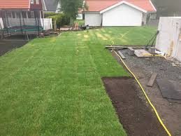 Image result for site:byggahus.se rullgräs