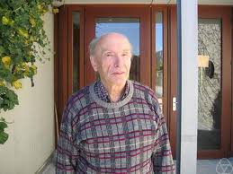 Schmitt's work have you seen? Wolfgang Schmidt Mathematiker