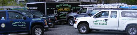I highly recommend nature's balance pest control! Seo Helps Local Business Grow Leads Outrank National Competitors