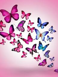 If you look at the color… Butterfly Old Mobile Cell Phone Smartphone Wallpapers Hd Desktop Backgrounds 240x320 Date Images And Pictures