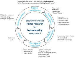 We did not find results for: Sustainability Free Full Text Habitat Enhancement Solutions For Iberian Cyprinids Affected By Hydropeaking Insights From Flume Research Html