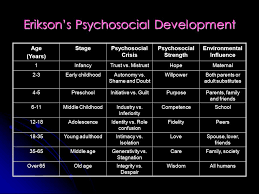 Erikson S Stages Of Psychosocial Development Coursework Sample