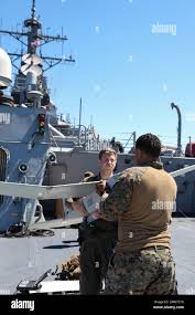 Image result for TorRed 2020 Fleet