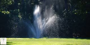 Watering at night is risky because cool, wet ground is just asking for a lawn fungus. Lawn And Garden Watering Do S And Don Ts