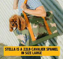 Commuter Pet Tote | Rugged, Durable, Comfortable