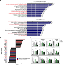 Some content may require gameplay to unlock. Metformin Intervention Prevents Cardiac Dysfunction In A Murine Model Of Adult Congenital Heart Disease Sciencedirect