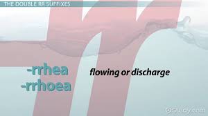 Use your terminology book or other reference of medical terms to create your cards. Commonly Confused Suffixes In Medical Terminology Video Lesson Transcript Study Com
