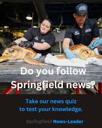 Springfield News-Leader | How closely did you follow Springfield news last  week? Take our news quiz to find out at the link in bio. | Instagram