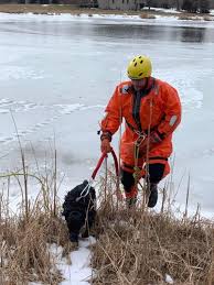 Firefighters Rescue Dog From Countryside Glen Lake Between Joshua Drive And Prairie Court Hawthorn Woods Cardinal News