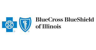 Learn how blue cross and blue shield companies are addressing our nation's crisis in racial health disparities. Blue Cross Blue Shield Drops One Rockford Hospital Adds Another