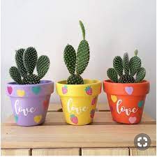 3.3 no los pongas en macetas sin agujeros. Macetas Pintadas Para Cactus Y Cactus Pintados En Piedras Para Macetas Macetas Pintadas Disenos Para Florero Macetas