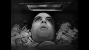 Vampyr with Live Score by Order of the Illusive