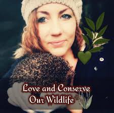 Katy's Wildlife Rescues