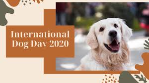 To help celebrate, we present you a list of the best live dog mascots in today's pro and collegiate sports world. International Dog Day 2020 Guwahati Plus Youtube