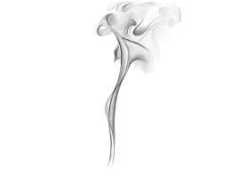 Pin On Illustrations