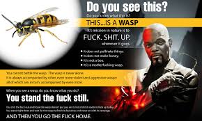 Http I Imgur Com 2ba8d Jpg You Make Me Laugh Offensive Humor Offensive Words