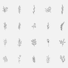 Flower, flowers, hand, nature, hand drawn, plant, drawing, natural, plants, daisy, hand drawing, pack, drawn, drawings, hand drawn flowers, daisies. Hand Drawn Flower Set Svg Flower Set Png Floral Ornament Botanical Clipart Wedding Flowers And Plants Vector Flowers Line Art Leaves In 2021 Hand Drawn Flowers Flower Drawing How To Draw Hands