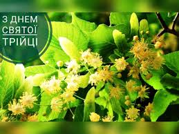 Вважається одним з найважливіших після великодня. Vitayemo Z Dnem Svyatoyi Trijci Boratinska Silska Rada