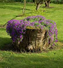 Vector illustration decorative background design. 20 Amazing Flower Planters And Lawn Ornaments Made Out Of Old Tree Stumps Tree Stump Planter Tree Stump Decor Stump Garden