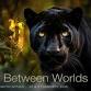 Walk Between Worlds   |   Advanced International event image