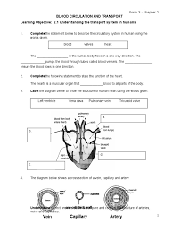 Transport system in human a. Blood Circulation And Transport Learning Objective 2 1 Understanding The Transport System In Humans Circulatory System Blood