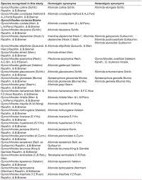 Image result for Morinda angolensis