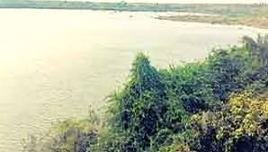 सोलापूर : थकबाकी नसल्याने बुद्धेहाळ तलाव सिंचन सुरळीत