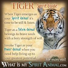 Maybe you would like to learn more about one of these? Tiger Symbolism Meaning Spirit Totem Power Animal