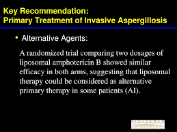 Treatment for invasive and cutaneous aspergillosis: Ppt Idsa Clinical Practice Guidelines For Aspergillosis 2008 Powerpoint Presentation Id 398413