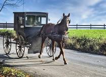 Lecture on the Lawn: Mennonite History and Culture