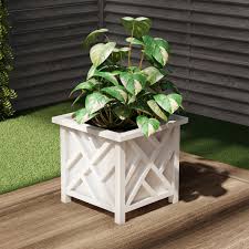 That one is my overflowing lemon balm, which is a mint plant. Shop Now For The Square Planter Box White Lattice Container For Flowers Plants Includes Bottom Insert Outdoor Pot Garden Patio Porch Use By Pure Garden Accuweather Shop