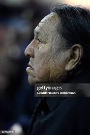 416 Crow Dog Stock Photos, High-Res Pictures, and Images