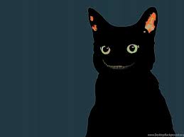 Bird, butterfly, elephant, horse, flamingo, cat, dog, fish Black Cat Wallpapers 2560x1440 Desktop Background