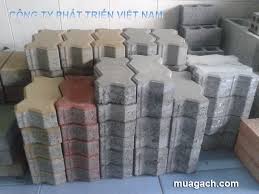 GẠCH CON SÂU - CÔNG TY PHÁT TRIỂN VIỆT NAM