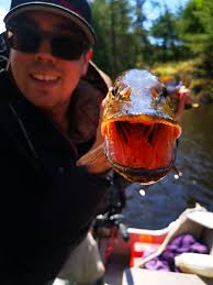 Have you ever fished