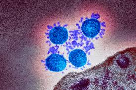 Coronavirus Covid 19 Public Health Matters