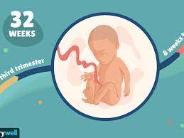 32 Weeks Pregnant Baby Development Symptoms And More