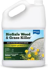 Effective on perennial and annual broadleaf weeds and grasses. 10 Best Pet Safe Weed Killers Of 2021 Pet Friendly Way To Kill Weeds