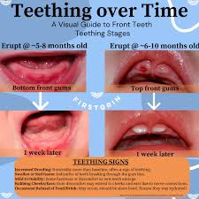 Image result for Teething