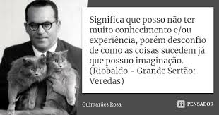 Significa Que Posso Nao Ter Muito Guimaraes Rosa
