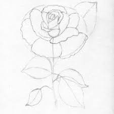 Intre dragoste si trandafiri este o legatura depina. 13 Trandafiri Ideas Trandafiri SchiÈ›e Creion