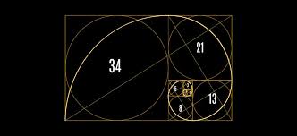 Browse more golden ratio vectors from istock. The Golden Ratio The Ultimate Guide To Understanding And Using It Elegant Themes Blog