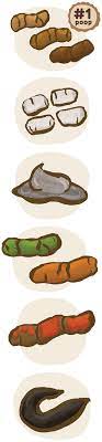 What S Your Dog S Poo Telling You Guides Big Dog Pet Foods