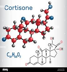 Image result for Cortisone