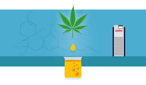 However, it is not easy for consumers to obtain advantages by simply purchasing a hemp plant. Cannabis Workflows Part Ii Solvents Ethanol King Of Classic Julabo Usa